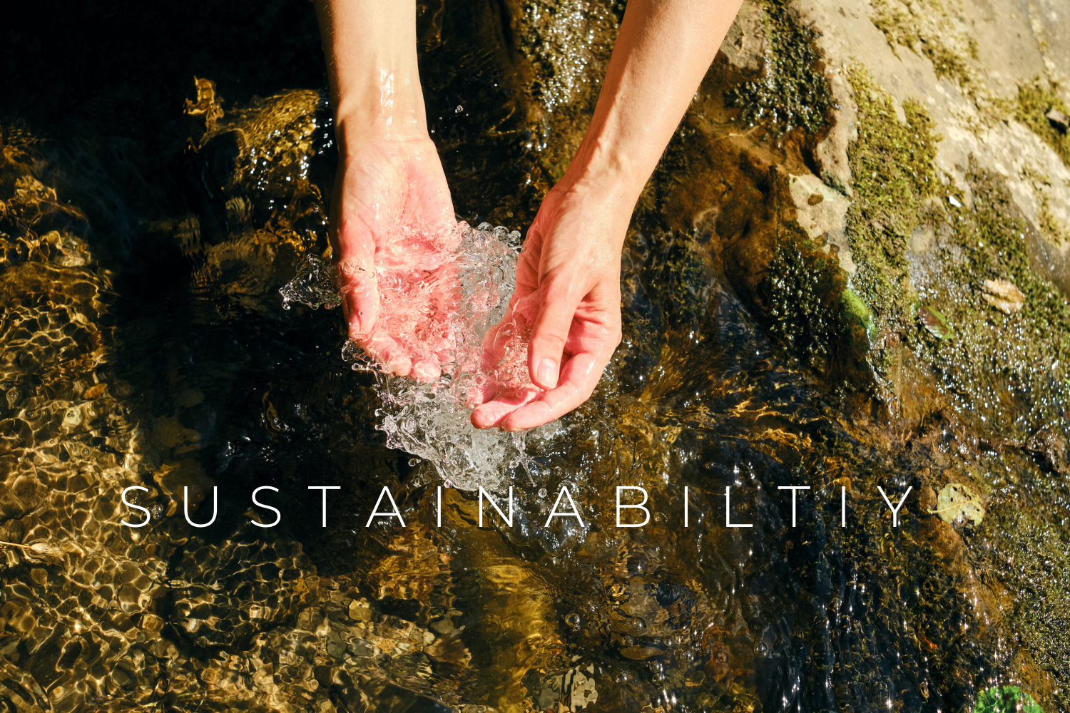 Ourlyfe sustainable hand wash